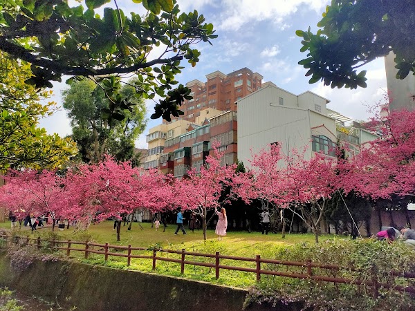 莒光環保公園