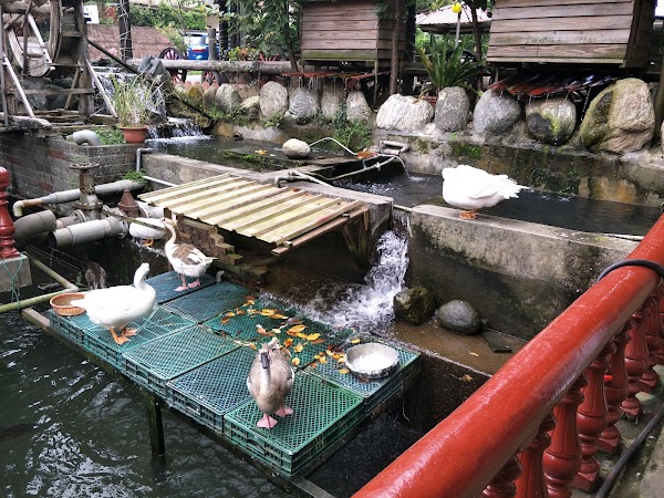 大豐花園餐廳