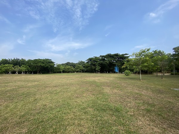 樹谷草原