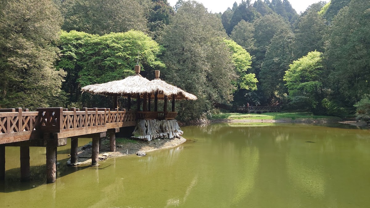 阿里山鄉