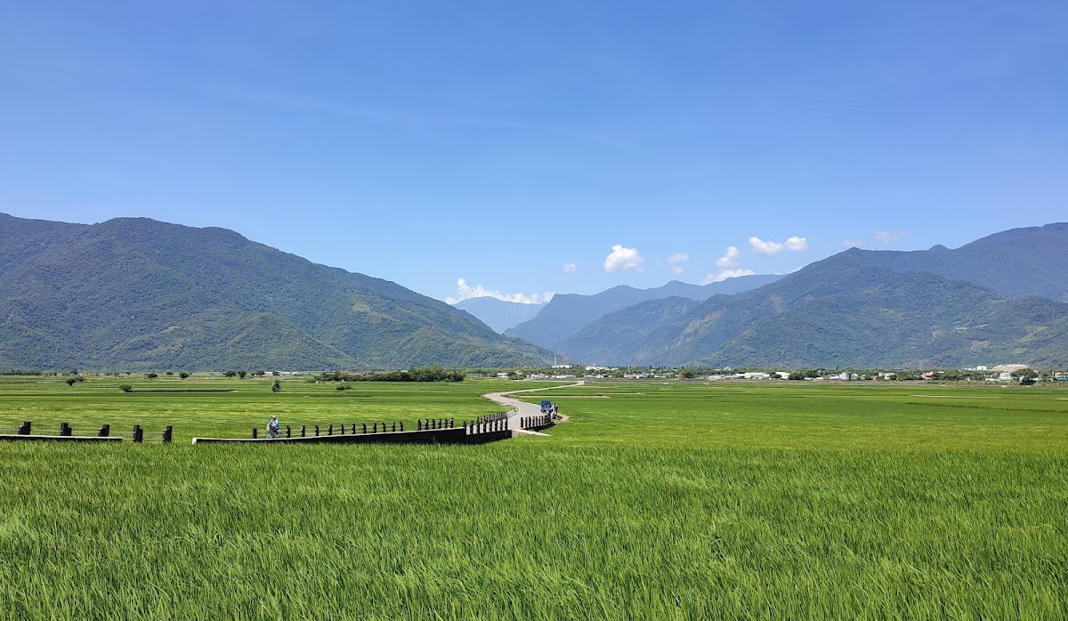 萬安社區天堂路稻田區
