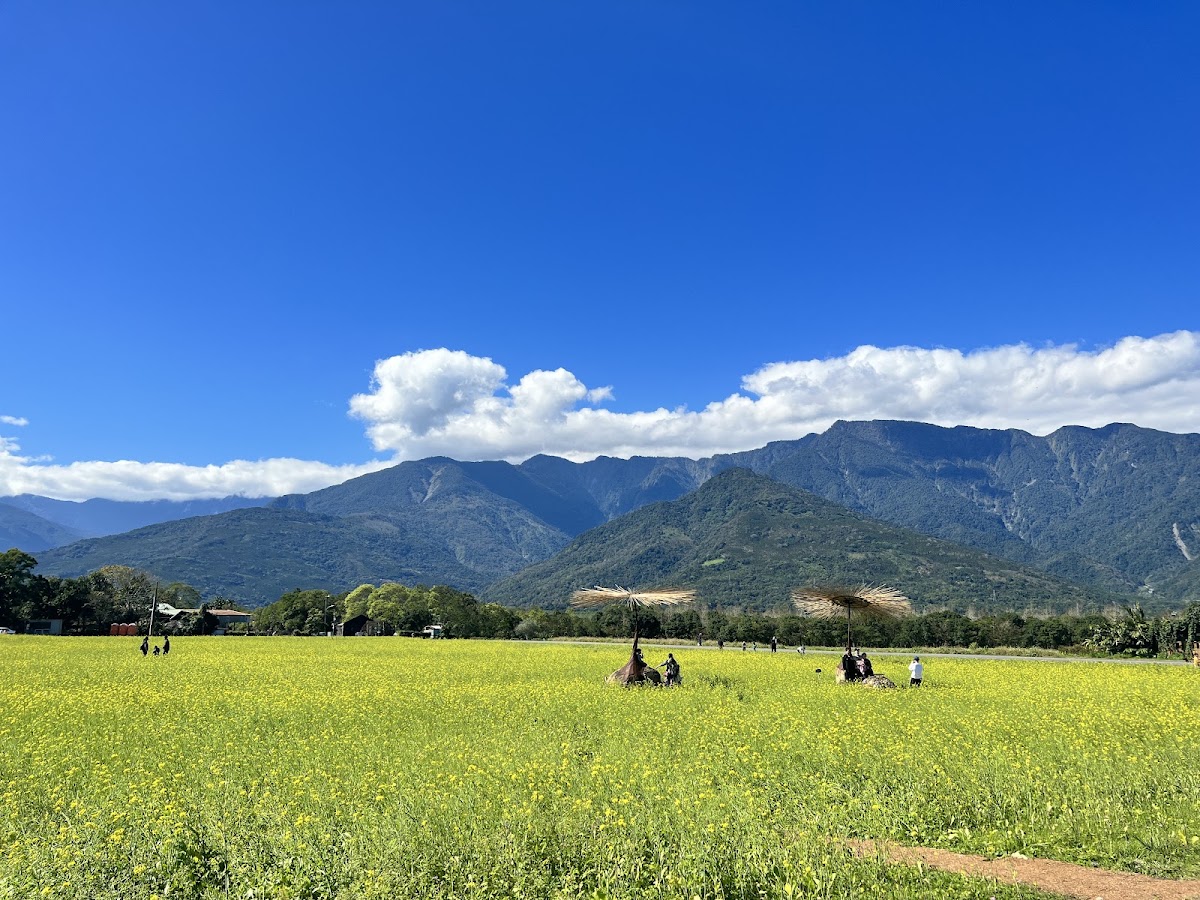 大農大富平地森林園區